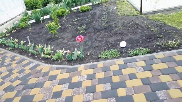 НОВЫЕ ЖИТЕЛИ НАШЕГО ДВОРА-@ ДОБРО ПОЖАЛОВАТЬ!!!!!@ смотреть онлайн