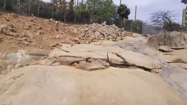 Парк диких животных 39 смотреть онлайн