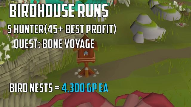 OSRS | How to easily maintain membership w/bonds смотреть онлайн