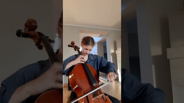 Tchaikovsky. Reflection.