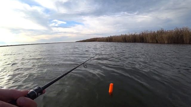 СПИННИНГ В ДУГУ! ДАВНО МЕЧТАЛ О ТАКОЙ РЫБАЛКЕ!!!ПОПАЛ НА ВЫХОД КРУПНЯКА!Рыбалка в Астраханской обл. смотреть онлайн