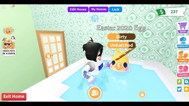 КАК ПОЛУЧИТЬ ЯЙЦО ADOPT ME, CHICK!?|EGG HUNT 2020|Roblox смотреть онлайн