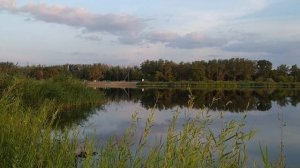 Суперская ОВСЯНАЯ ПРИКОРМКА для РЫБАЛКИ СВОИМИ РУКАМИ! Показываю РЕЦЕПТ + ОТЧЕТ С РЫБАЛКИ