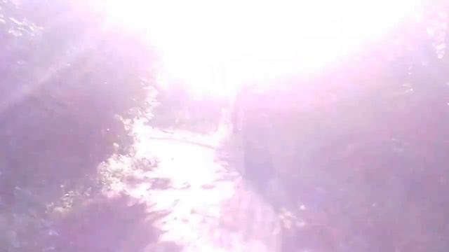 Моховые горы 26.06.16 №4 смотреть онлайн