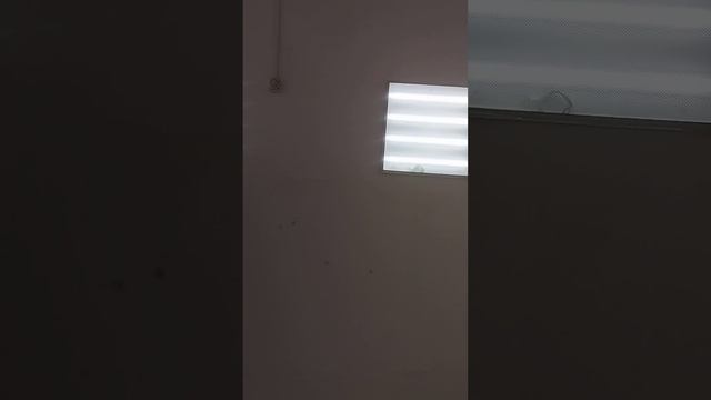 типичная станица 2