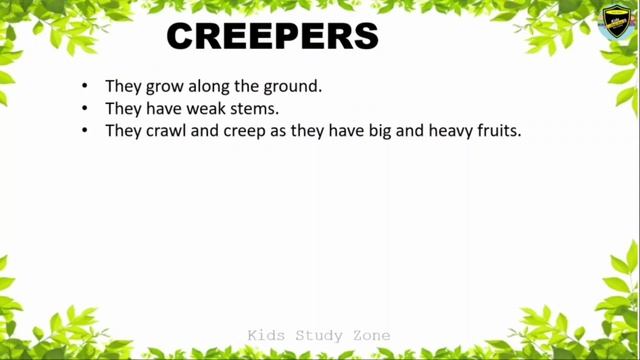 Types of Plants |Types of Plants for Kids | Plants around us | Different types of Trees | смотреть онлайн