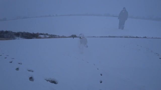 Тот самый пёс Рыбнадзор Рыбалка в глухозимье 2022 смотреть онлайн