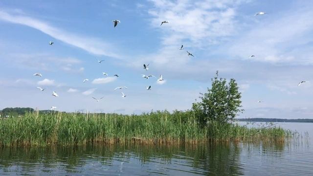 Чаячий островок на Валдайском озере смотреть онлайн