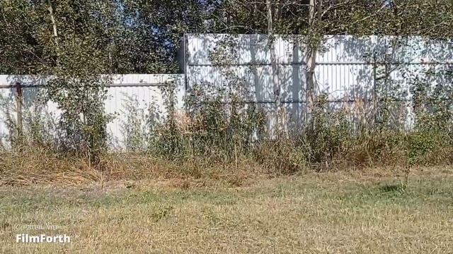 обзор на пит байк motoland xt 12 смотреть онлайн