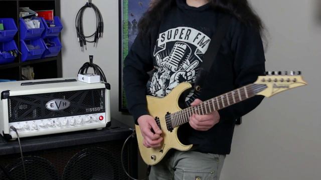 EVH 5150 III 50 Watt - Take a look around - Cover смотреть онлайн