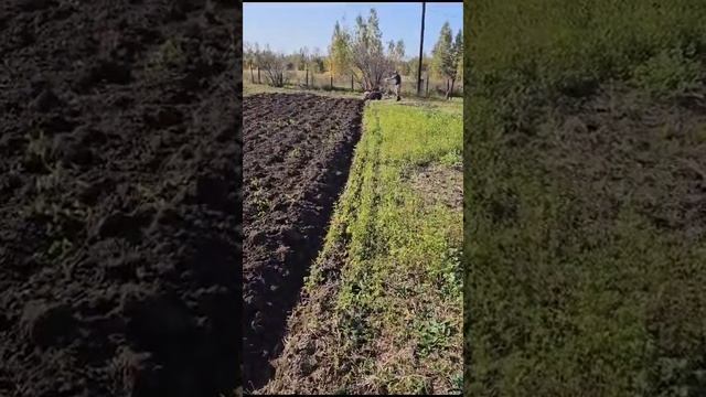 4 октября 2023 г. смотреть онлайн