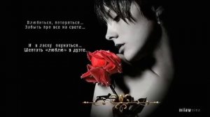 Маймуна   Libertango Либертанго