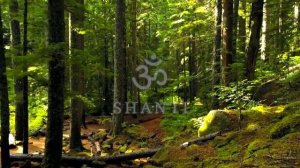 Shanti Mantra 'Om Sahana Vavatu Sahanau Bhunaktu' | Vedic Mantra | Peaceful Meditation