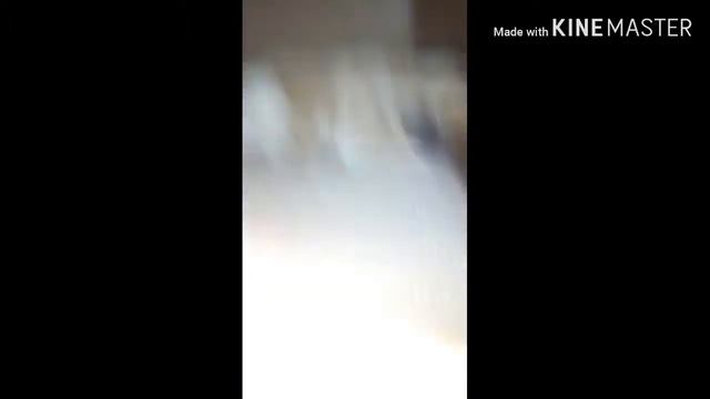 Короче говоря мне купили собаку смотреть онлайн