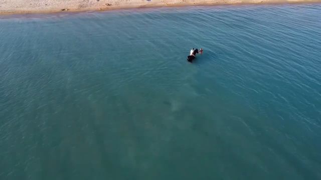 На лошадке в Чёрное море смотреть онлайн