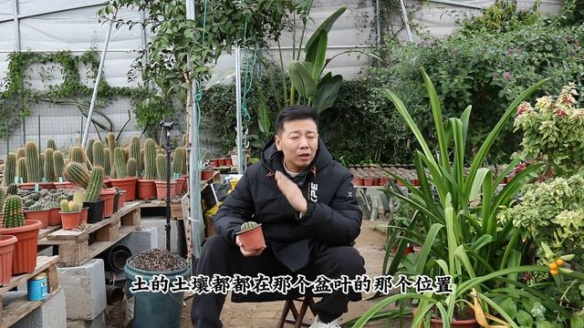 种花不是盆好，土好就行，栽种也要注意一个“小细节” смотреть онлайн
