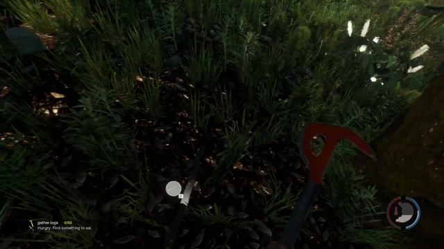 The Forest Сохранение