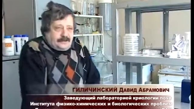 Кое что о грибах смотреть онлайн