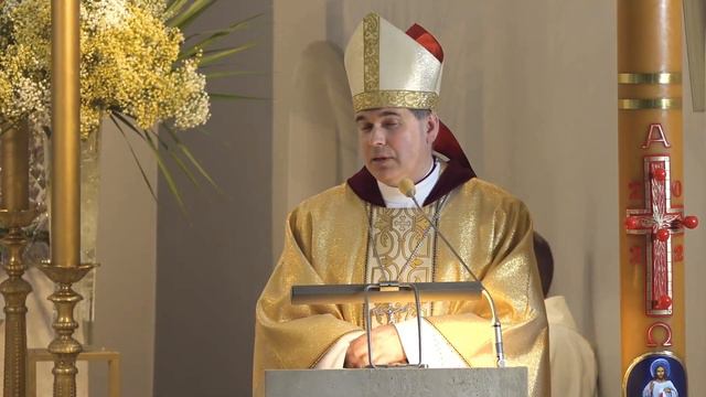 2021-04-23 vysk. Lino Vodopjanovo OFM homilija смотреть онлайн