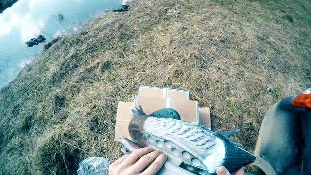 Утиные чучела (Sport Plast) смотреть онлайн