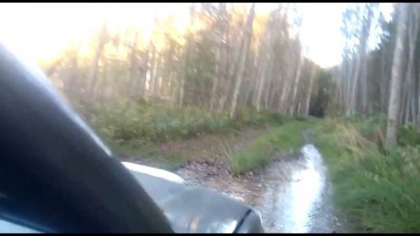 Derways shuttle по лесной дорожке покатушки