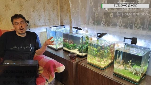 Светолюбивые и тенелюбивые аквариумные растения. Как подобрать и совместить. Ненаучный стрим. смотреть онлайн