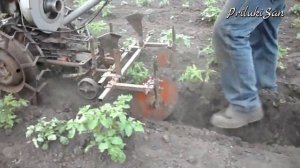 Окучивание картофеля мотоблоком. Дисковые окучники для мотоблока.