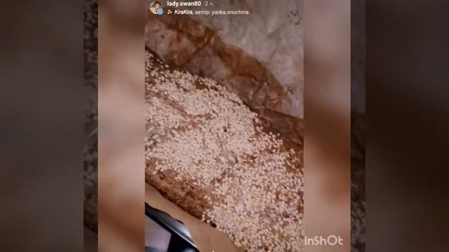 Yeast-free bread. Healthy bread with psyllium. Хлеб бездрожжевой. Полезный хлеб с псиллиумом. смотреть онлайн