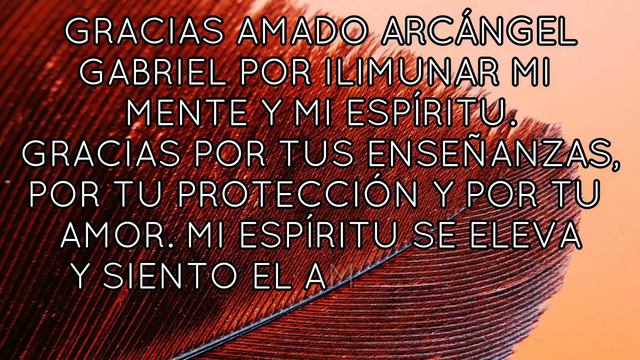 MENSAJE De Los ÁNGELES PARA TI DIGEON💌ARCANGEL GABRIEL💌💥SUPERACION PERSONAL💥EL DOLOR💥