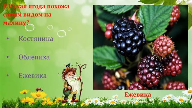 Видеоролик-викторина "Про леса и лесные чудеса ". Библиотека-филиал №13 смотреть онлайн