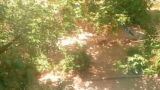 ШОК! КОГО ЗВАЛ, ТОТ И ПРИШЁЛ - НЕ ШУТИТЕ С ЭТИМ 25.06. 2018 г. смотреть онлайн