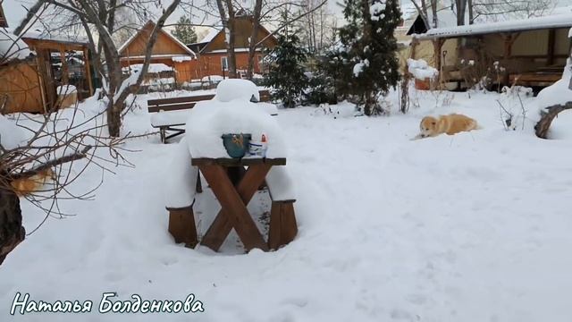 Два варианта деревенского дома》Новогодние каникулы》Наше утро》На хозяйстве смотреть онлайн