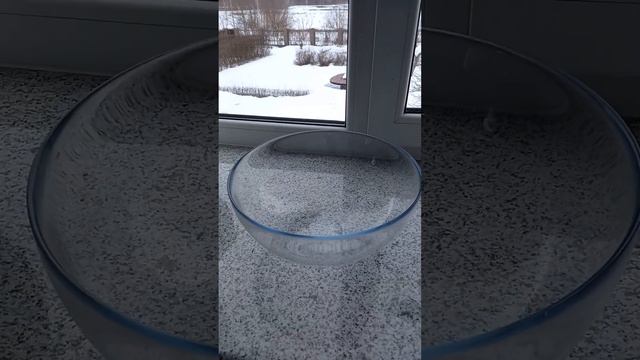 6 Кашпо из туфа Первичная практика с минимальными рисками смотреть онлайн