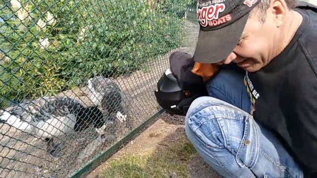 зоопарк Красноярск смотреть онлайн