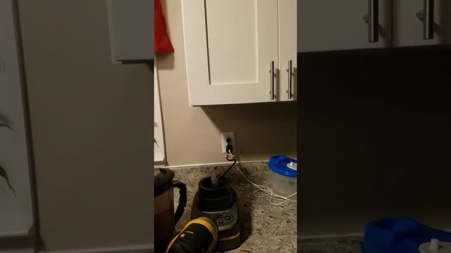 Broken blender? Here is the fix! смотреть онлайн