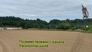 КТО ТАКОЙ ФОНАРЕГОЛОВЫЙ ( ИСТОРИЯ ЛАМПОГОЛОВОГО )