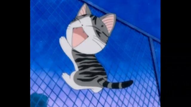Ищу пару! кота знаю что не найду читать описание смотреть онлайн