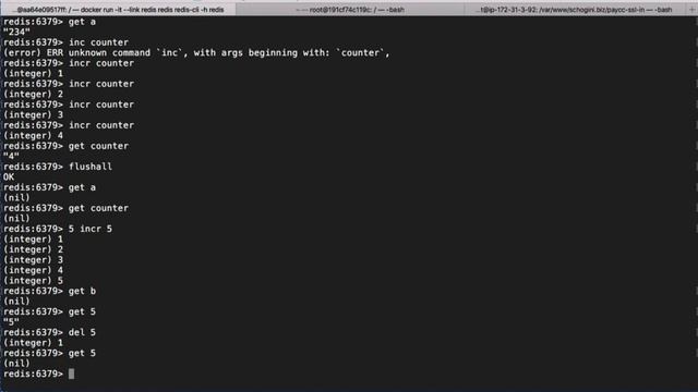 Docker Redis and Redis-CLI | Docker Getting Started | Lesson 020 смотреть онлайн