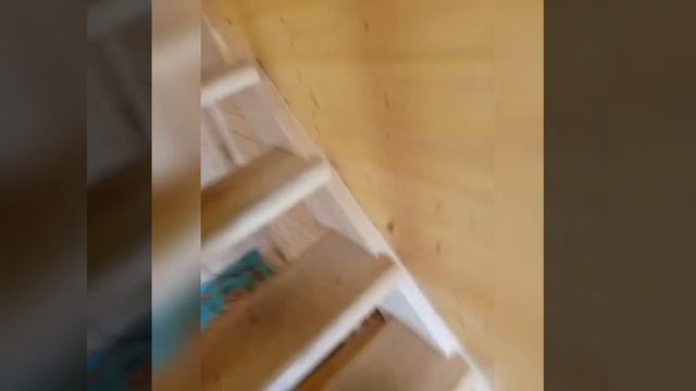 видео дом смотреть онлайн