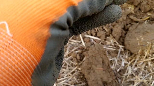 В поисках клада №84 Французская земля делает подарки