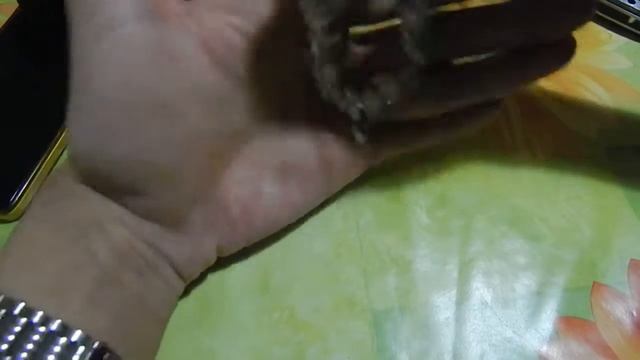 Женский браслет Pandora с Aliexpress смотреть онлайн