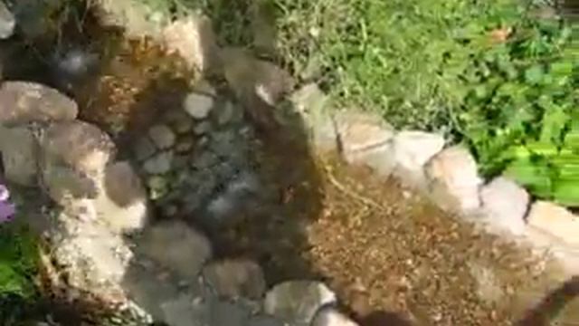 Коттедж на Управленческом. Ручей в саду. смотреть онлайн