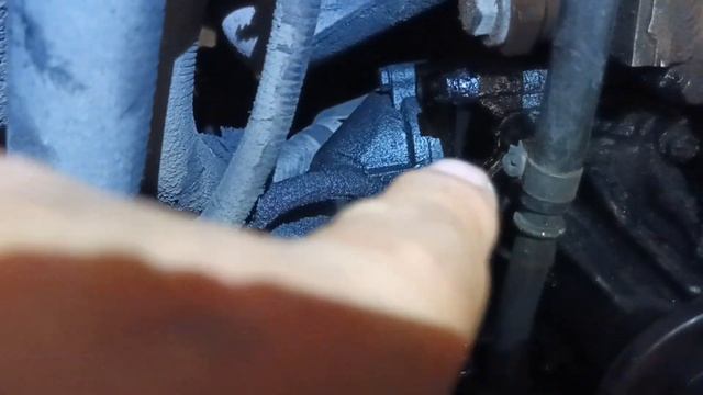 санг енг истана обзор где что смотреть онлайн