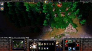 Гайд За Альянс для НОВИЧКОВ - WarCraft 3:Reforged - Как играть за АЛЬЯНС в ВАРКРАФТ 3