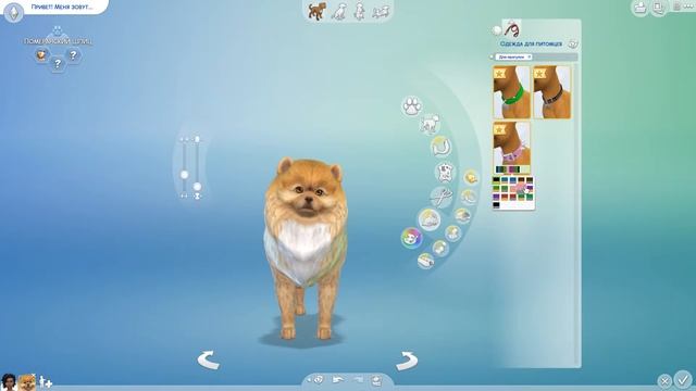 Sims 4 Кошки и собаки! Редактор создания питомца смотреть онлайн