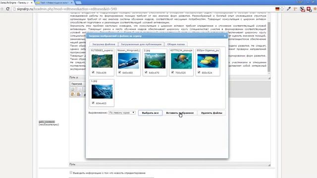 8. Добавляем галерею на DLE-сайт смотреть онлайн