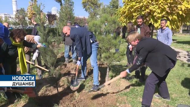 Акция по посадке деревьев в Душанбе смотреть онлайн