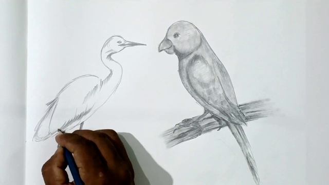 How to draw birds || Tutorial video@SatishArtGallery смотреть онлайн