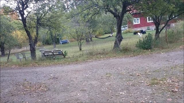 moto dag смотреть онлайн
