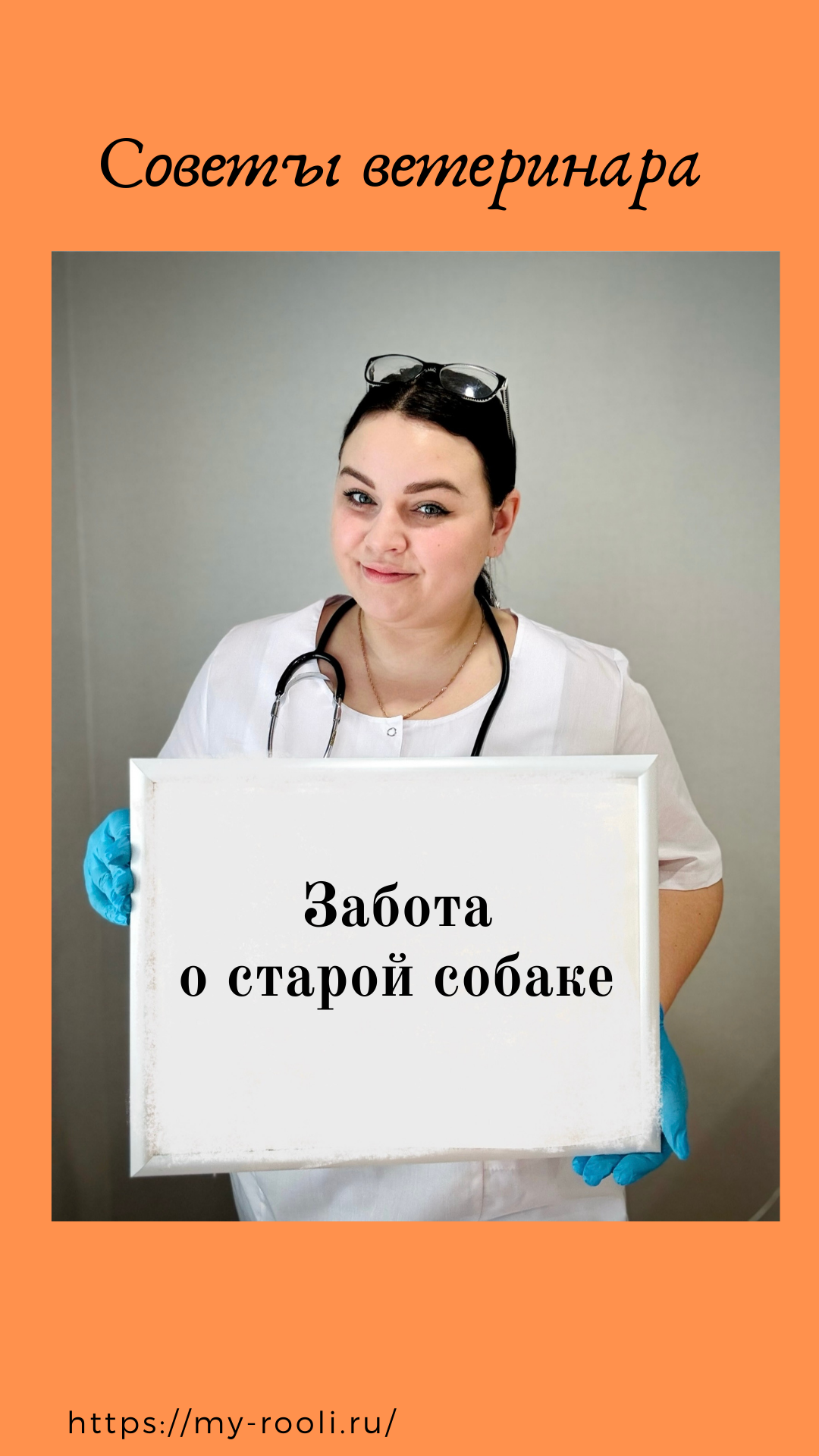 Как позаботиться о старой собаке? Все об уходе и поддержании здоровья собаки. смотреть онлайн